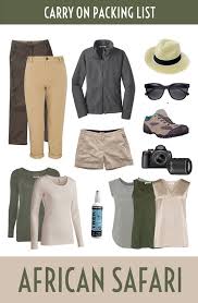 Essential items to carry for a Kenya safari including travel gear, clothing, camera, binoculars, and personal essentials